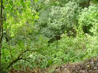 DSC00373