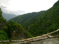 DSC00384