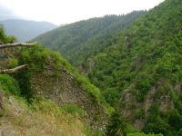 DSC00385