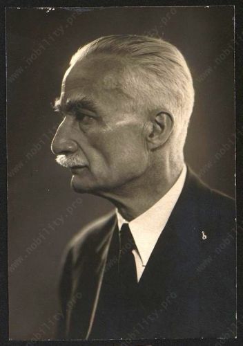 Историк-академик Иванэ Джавахишвили