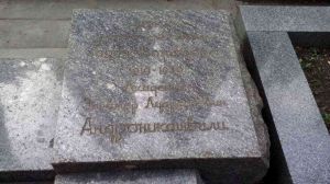 Дидубийский пантеон могила академика Элевтера Андроникашвили