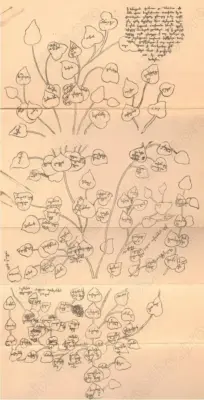 Царевич Вахушти