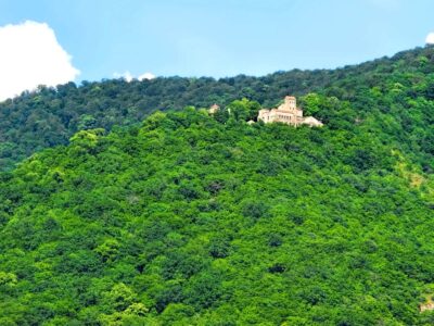 Nekresi Photo