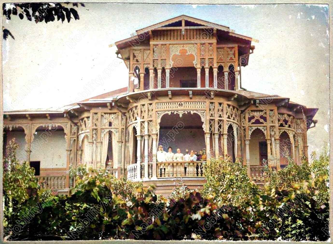 Palaces And Mansions In Georgia