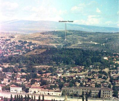 Tbilisi Forests